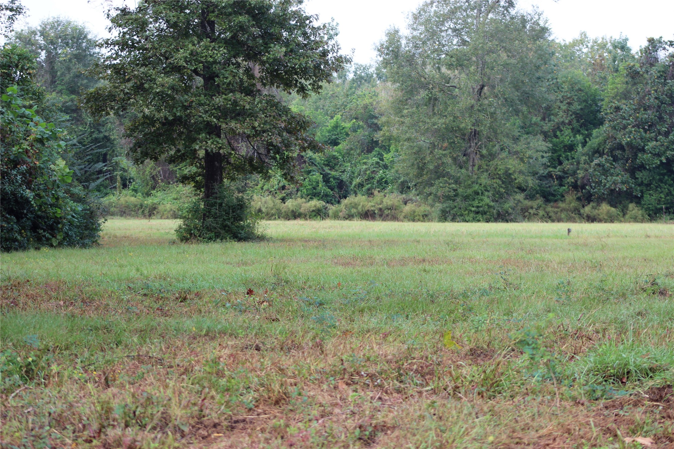 938 Minglewood Road Liberty, TX 77575 - Photo 9 of 16 a view of outdoor space and yard
