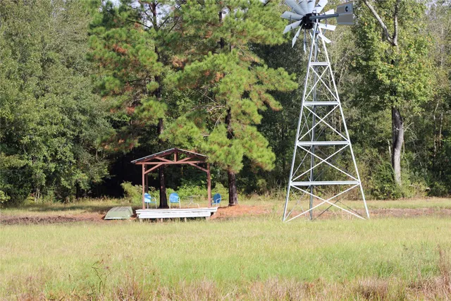 a view of a yard with a tree