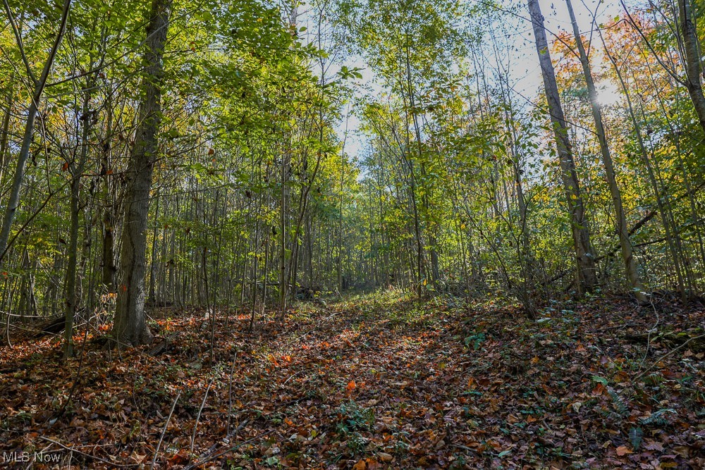 Flint Ridge Road Northeast Crooksville, OH 43731 - Photo 10 of 25 View of landscape