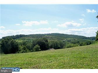 0 Sawmill Road Boyertown, PA 19512 - Photo 3 of 4 Gallery Image 3