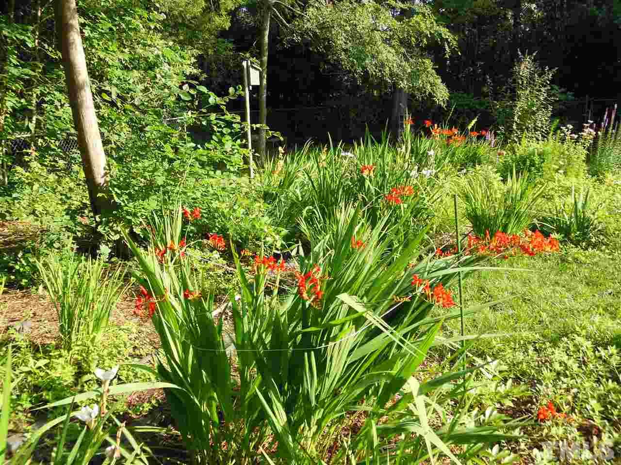 4604 Blanchard Road Durham, NC 27713 - Photo 25 of 25 a backyard of a house with lots of green space and a fountain