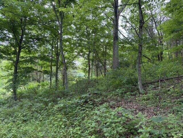 0 Kelly Ridge Road Irvine, KY 40336 - Photo 36 of 39 9