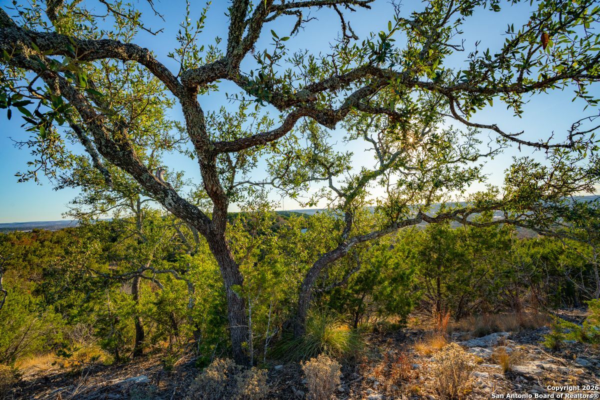 0 Cypress Creek Road Kerrville, TX 78028 - Photo 20 of 26