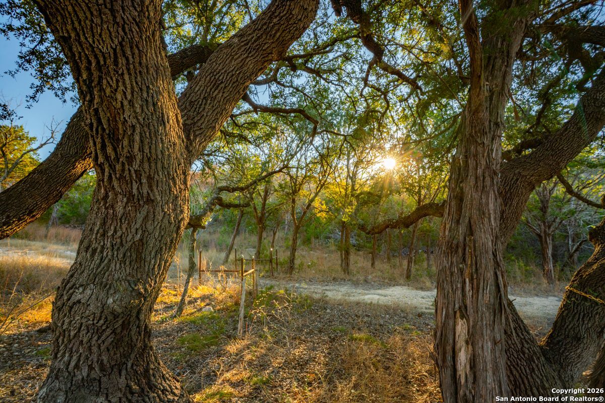 0 Cypress Creek Road Kerrville, TX 78028 - Photo 9 of 26