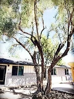 $1,222 | 3011 North 38th Street, Unit 7, Phoenix, AZ 85018