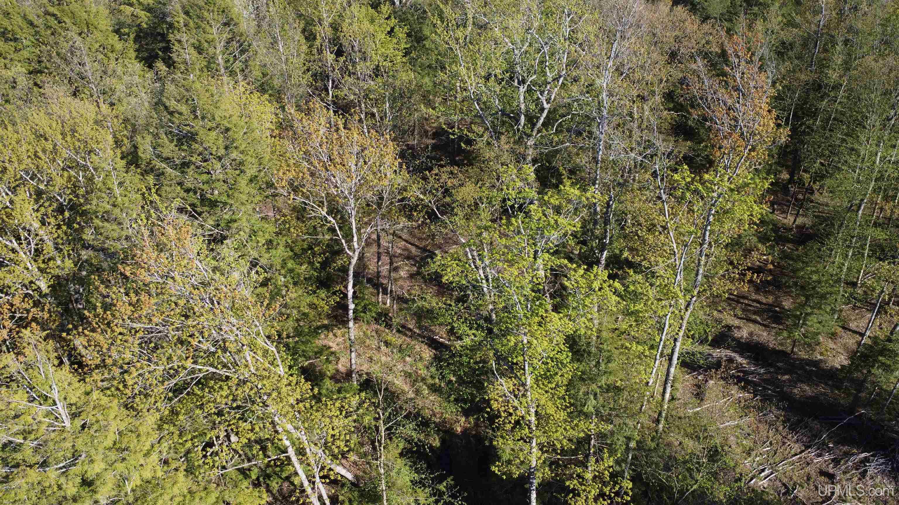 Off Off Hoist Road Negaunee, MI 49866 - Photo 28 of 45