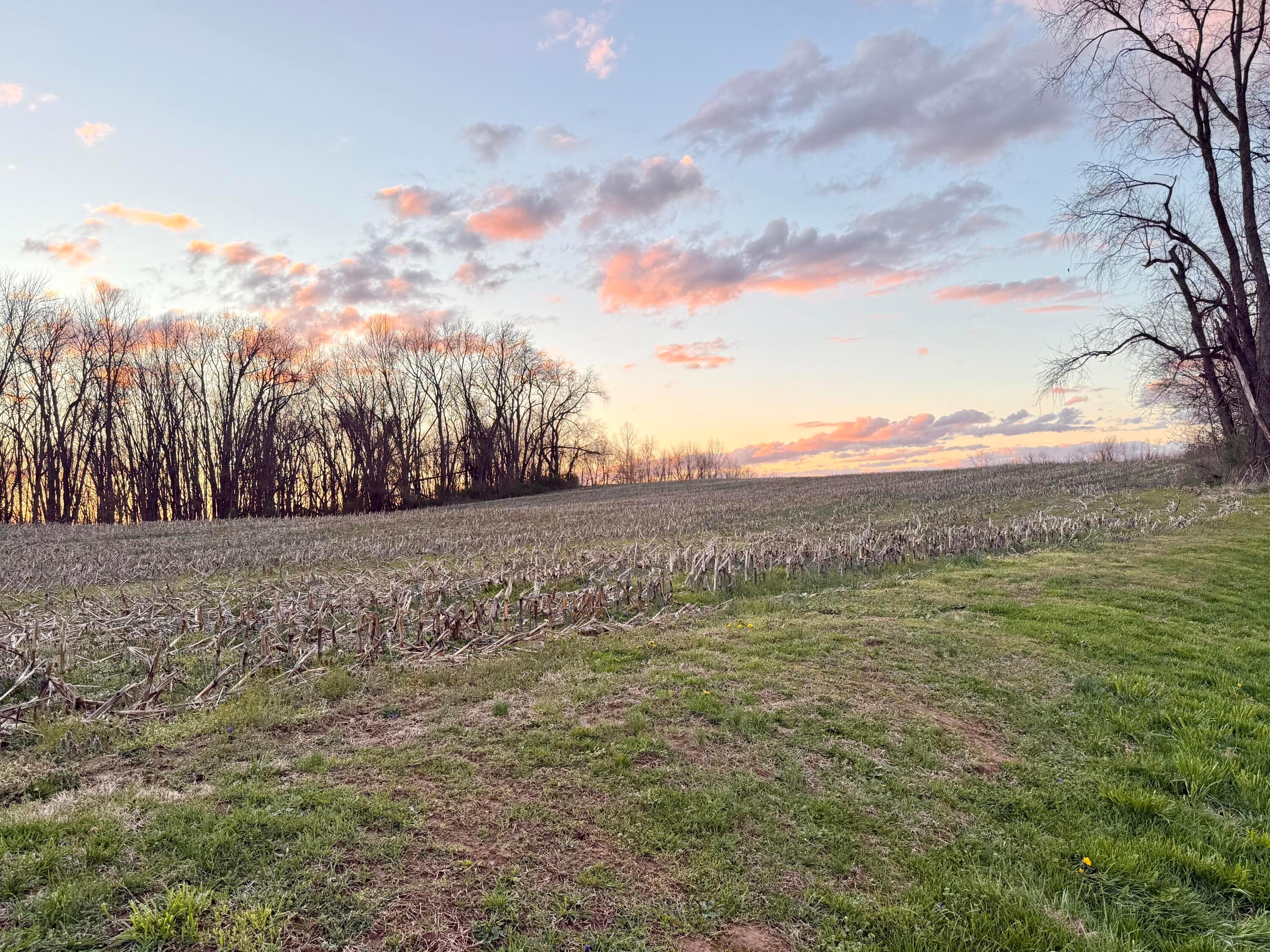 17597 Spillway Road Fredericktown, OH 43019 - Photo 3 of 25 3
