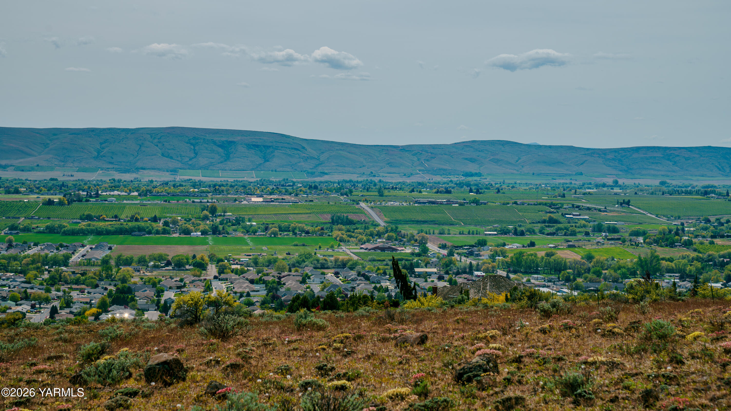 304 Rainier Street Yakima, WA 98908 - Photo 8 of 39 a view of a lush green field with lots of trees in it