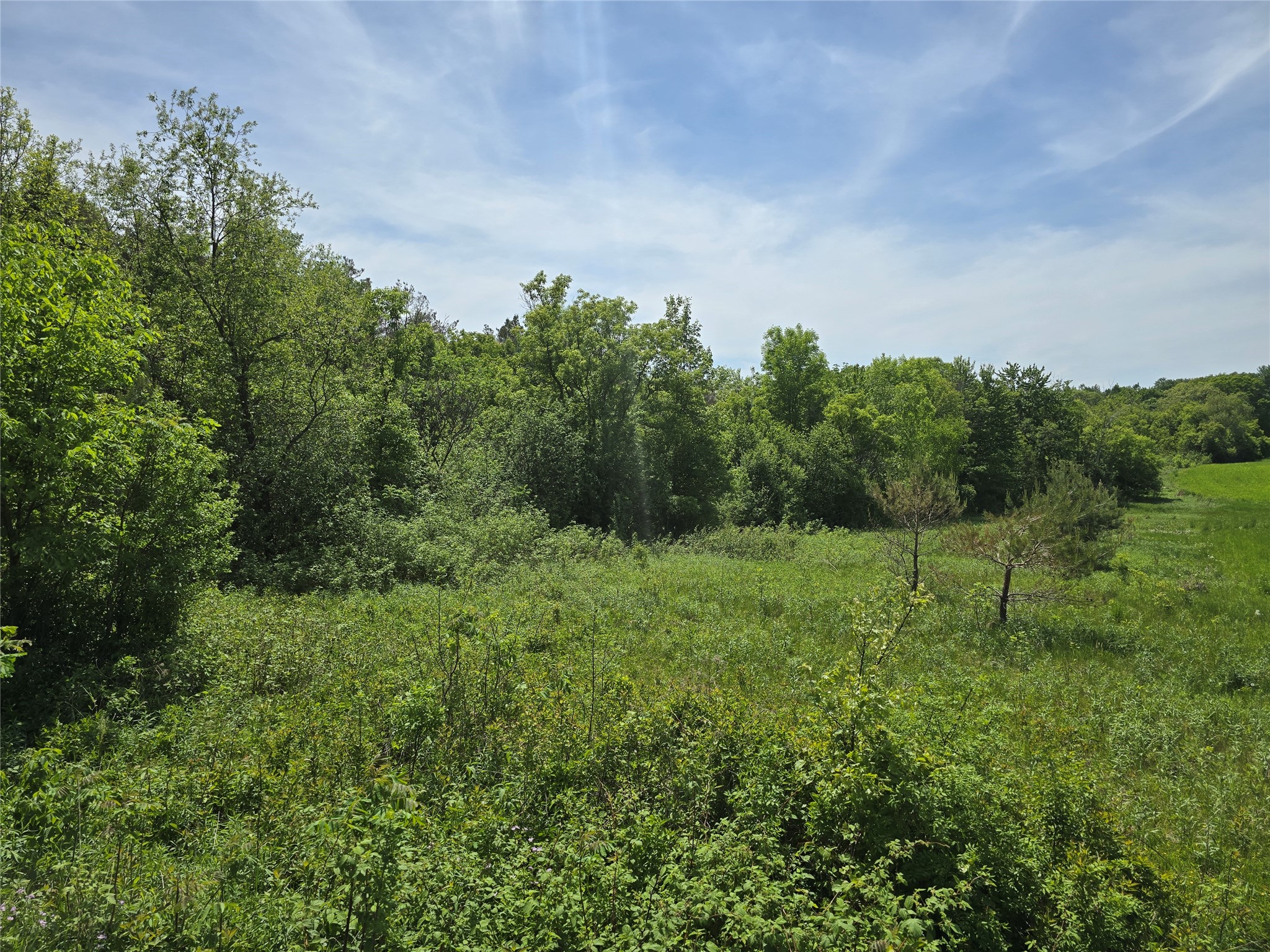 0 27th Street Chetek, WI 54728 - Photo 1 of 10