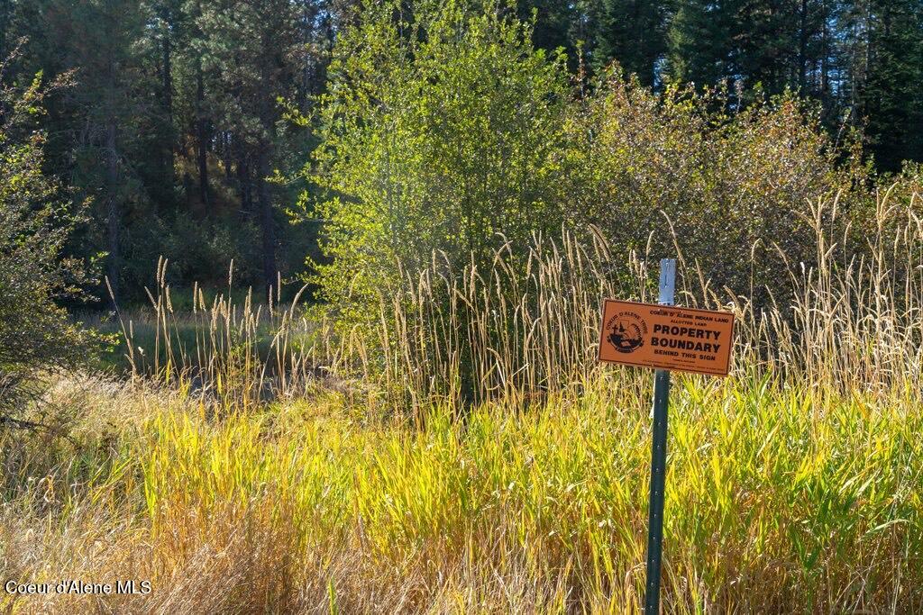 121 Johnston Road Plummer, ID 83851 - Photo 22 of 28 Johnston Rd - Boundary Stake