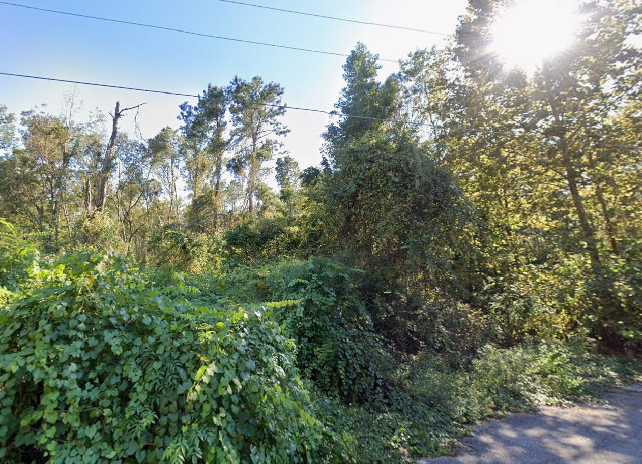 0 Roger Hamlin Road Tallahassee, FL 32311 - Photo 1 of 1 Gallery Image 1