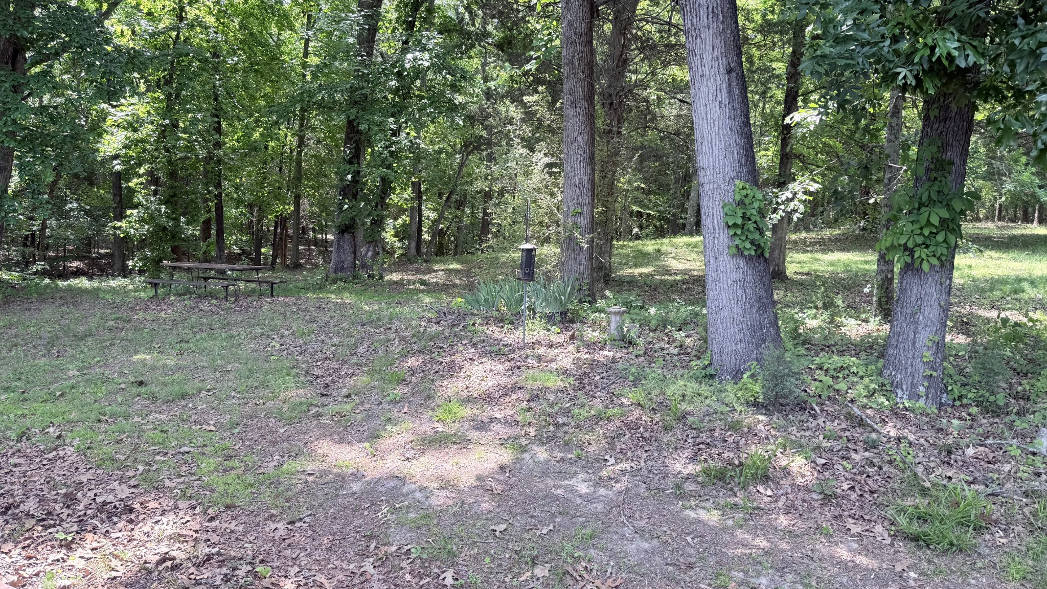5260 New Cut Road Greenbrier, TN 37073 - Photo 8 of 9