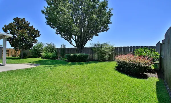 a view of a backyard with potted plants and large tree