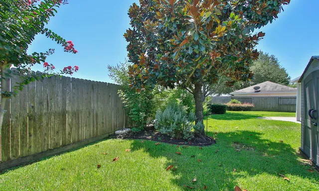 a view of a backyard with potted plants and large tree