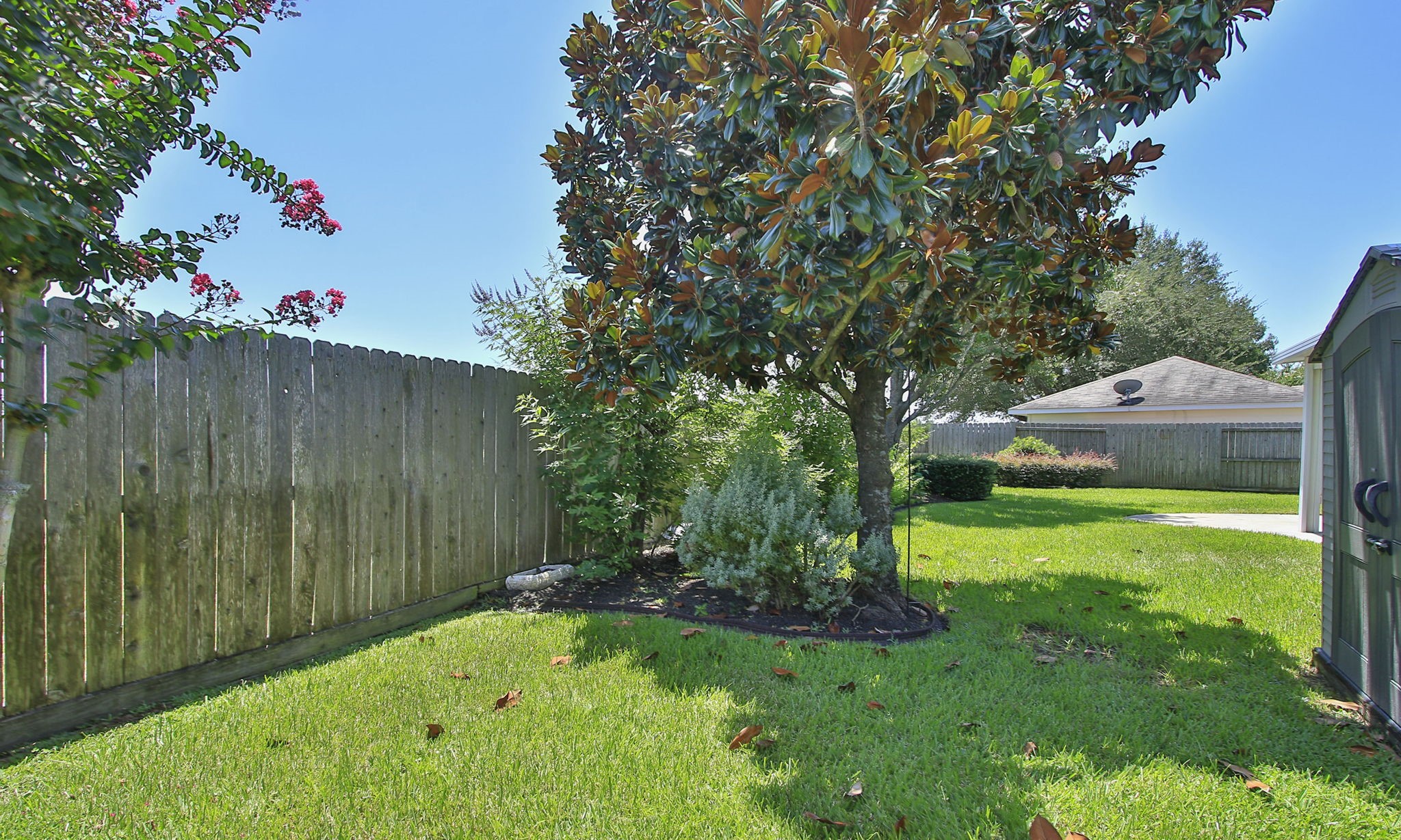 6311 Stone Trail Lane Spring, TX 77379 - Photo 38 of 47 Gorgeous Magnolia tree is a favorite perch for the local birds
