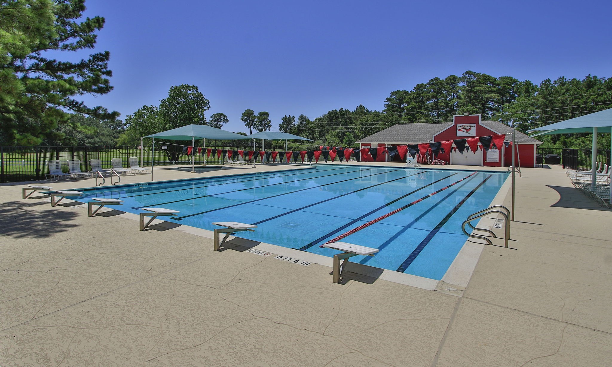 6311 Stone Trail Lane Spring, TX 77379 - Photo 43 of 47 Cool off from the Texas heat in the sparkling blue pool