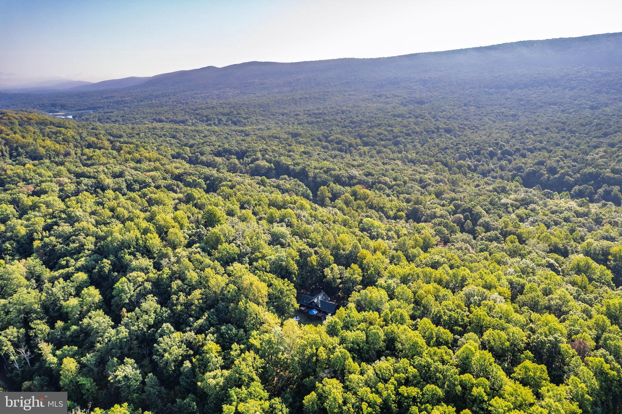 4344 Mission Road Harpers Ferry, WV 25425 - Photo 54 of 60 Lush green canopy stretches across the horizon.