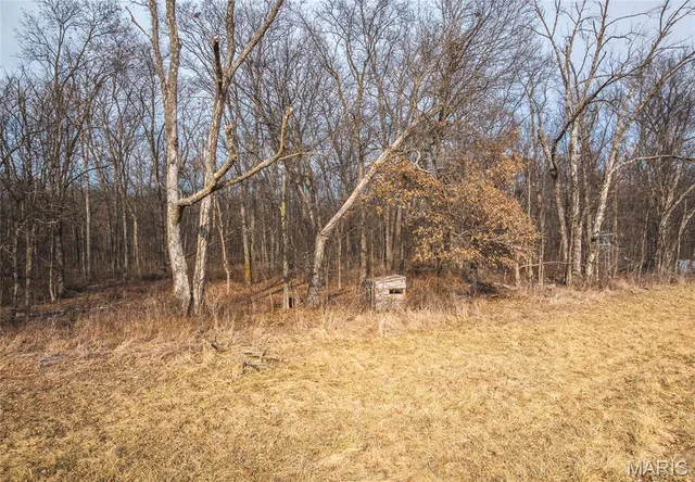 $325,000 | 0 Ware Road, Middletown, MO 63359