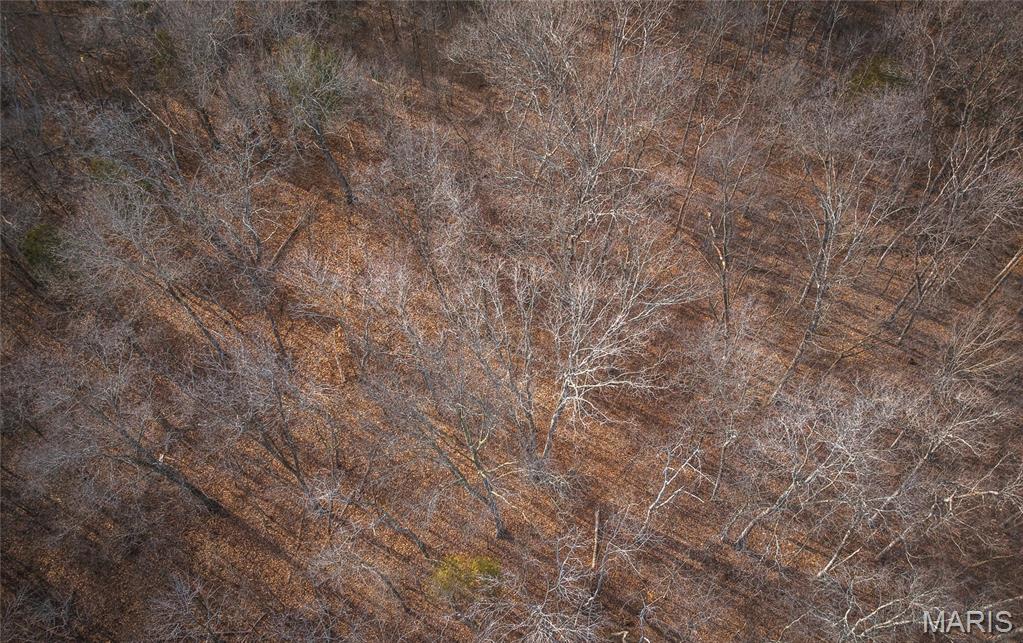 0 Ware Road Middletown, MO 63359 - Photo 18 of 41