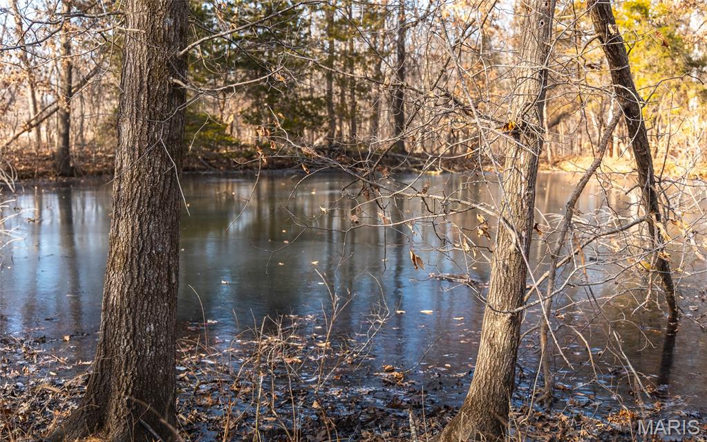 0 Ware Road Middletown, MO 63359 - Photo 26 of 41