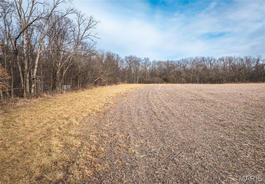 0 Ware Road Middletown, MO 63359 - Photo 30 of 41