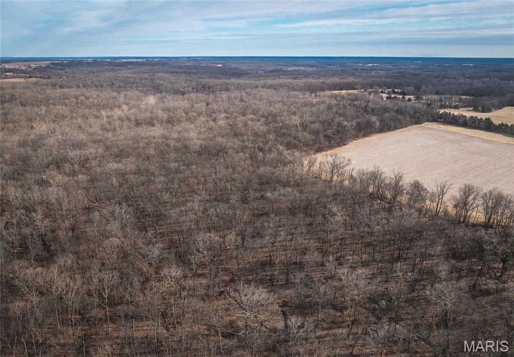 0 Ware Road Middletown, MO 63359 - Photo 32 of 41