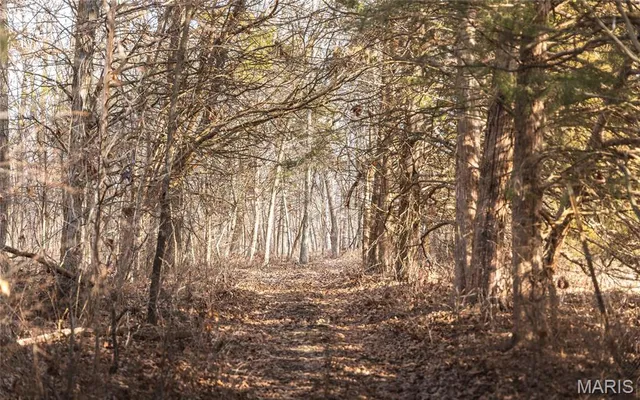 $325,000 | 0 Ware Road, Middletown, MO 63359