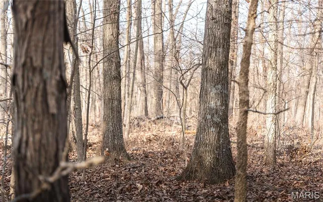 $325,000 | 0 Ware Road, Middletown, MO 63359