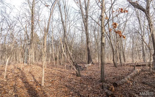 $325,000 | 0 Ware Road, Middletown, MO 63359