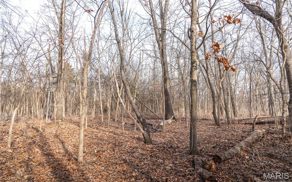 0 Ware Road Middletown, MO 63359 - Photo 37 of 41