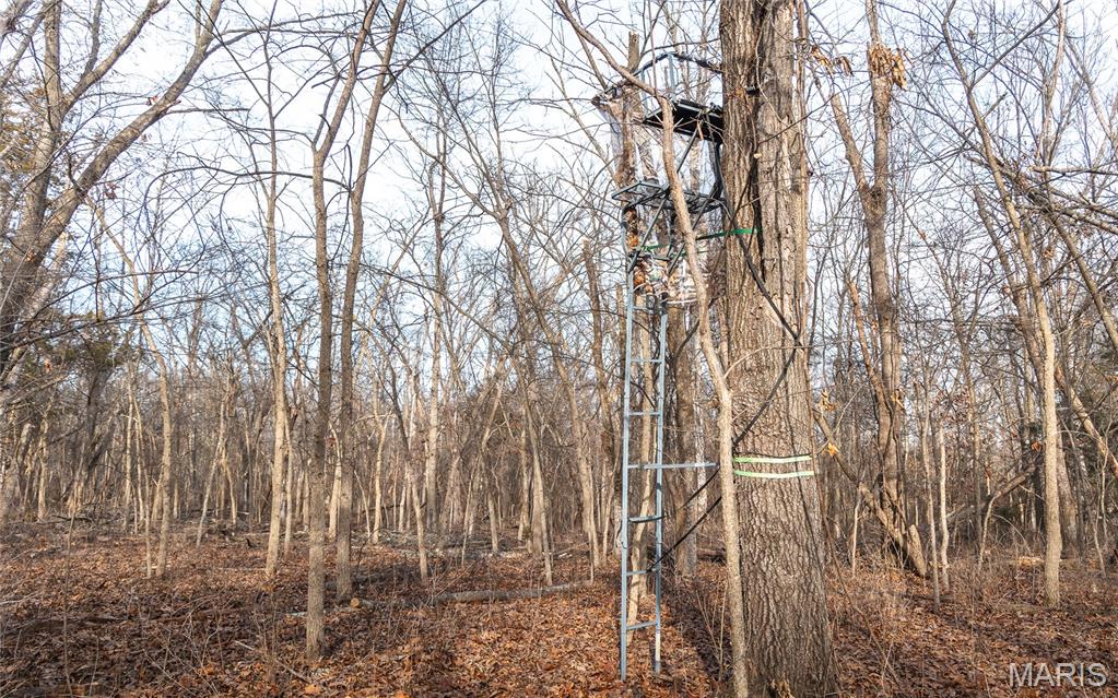 0 Ware Road Middletown, MO 63359 - Photo 38 of 41