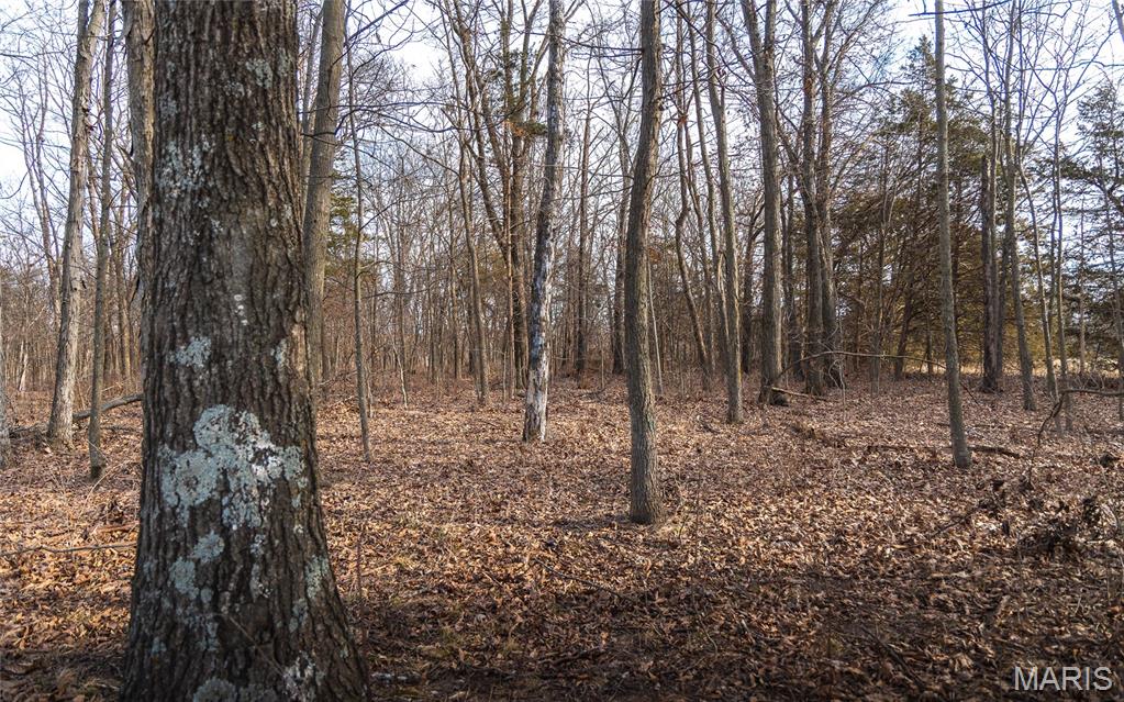 0 Ware Road Middletown, MO 63359 - Photo 39 of 41