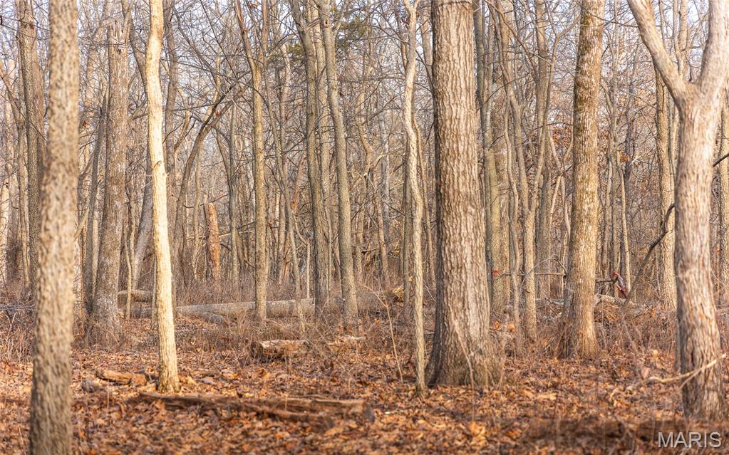 0 Ware Road Middletown, MO 63359 - Photo 41 of 41