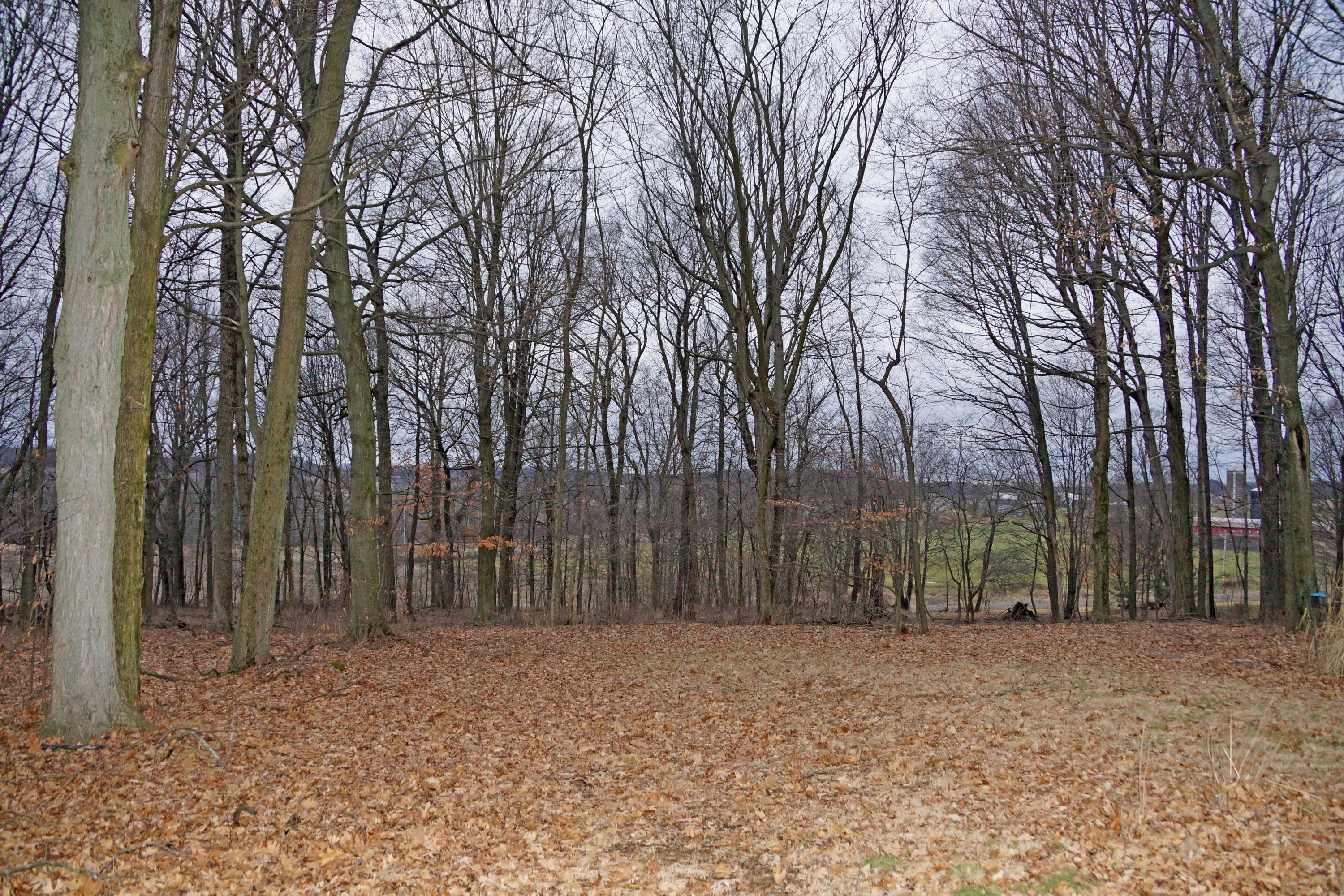 17302 Divelbiss Road Fredericktown, OH 43019 - Photo 23 of 25