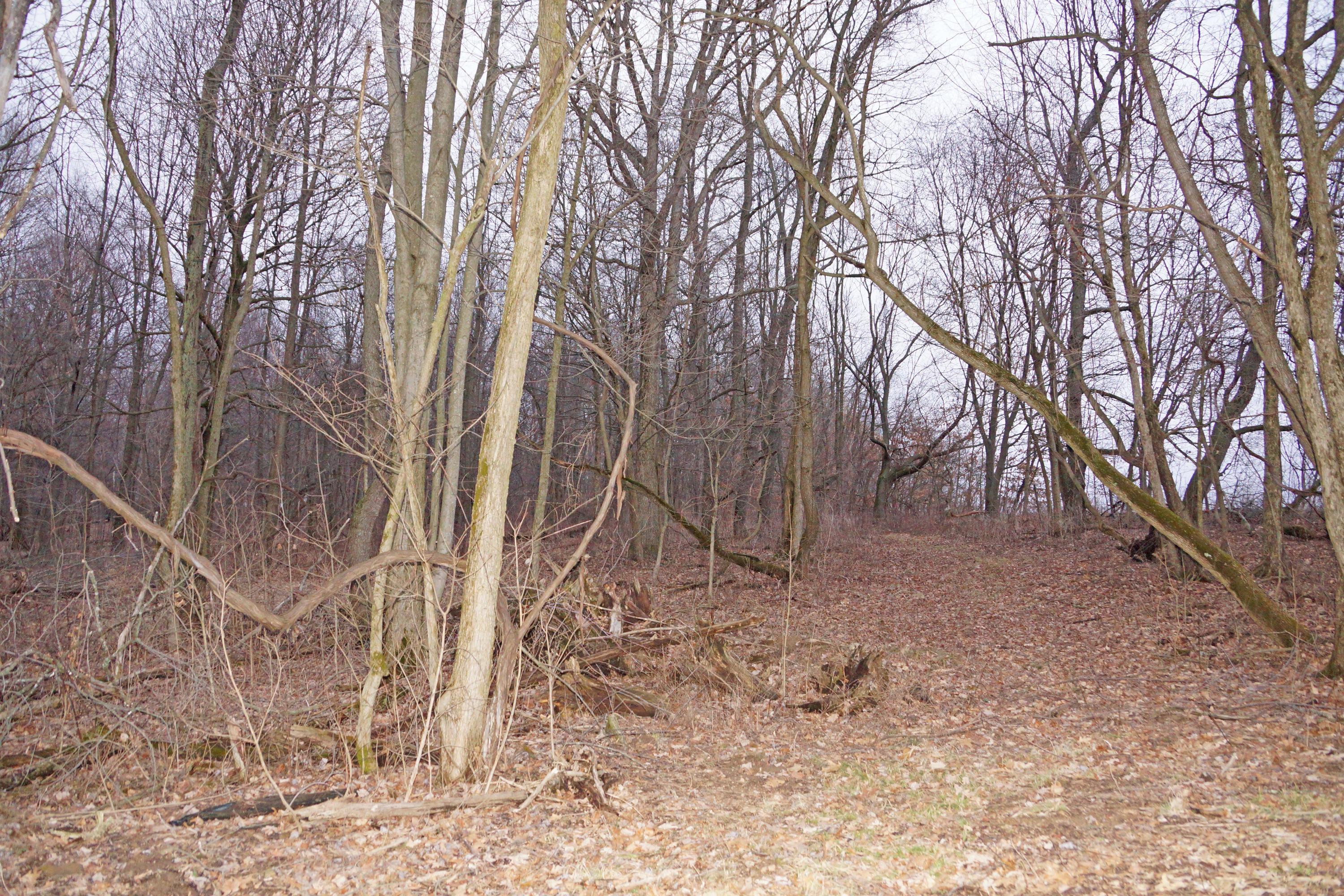 17302 Divelbiss Road Fredericktown, OH 43019 - Photo 24 of 25