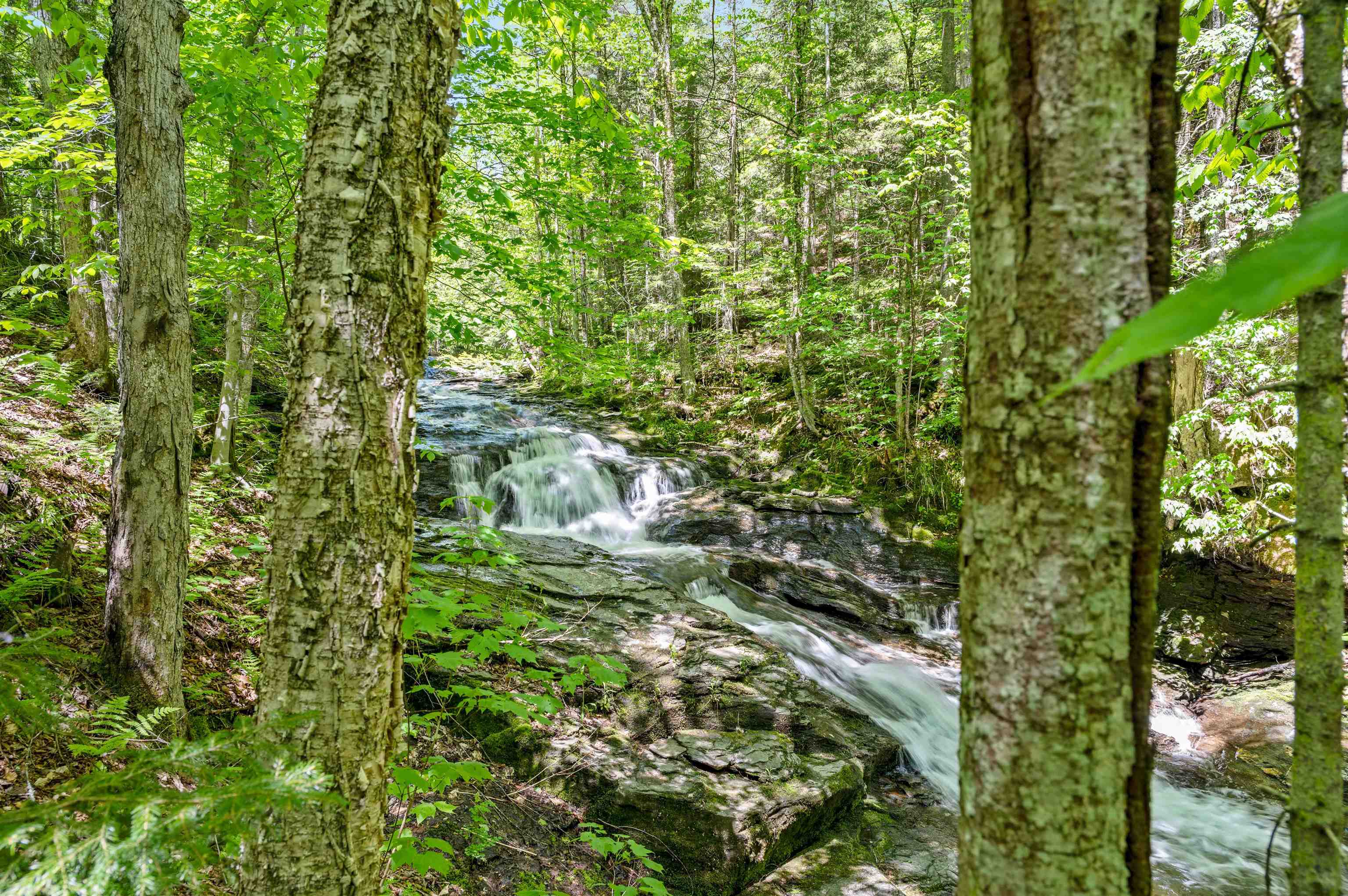 1670 Crooks Road Eden, VT 05652 - Photo 47 of 58