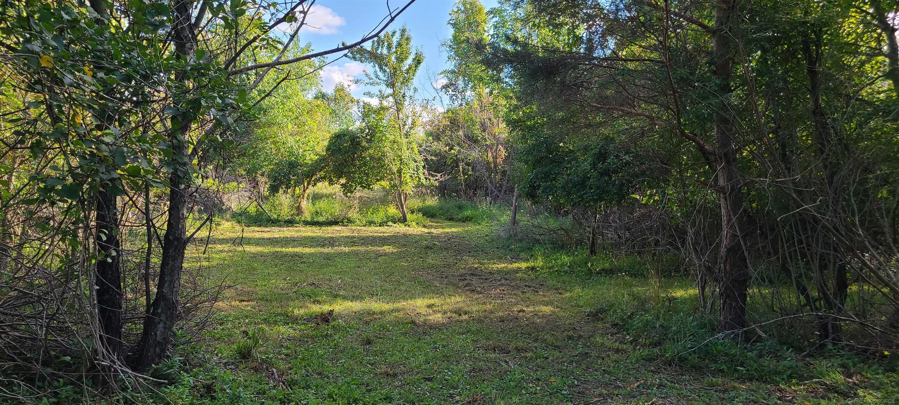 Vl Babcock Road Lexington, MI 48450 - Photo 5 of 14