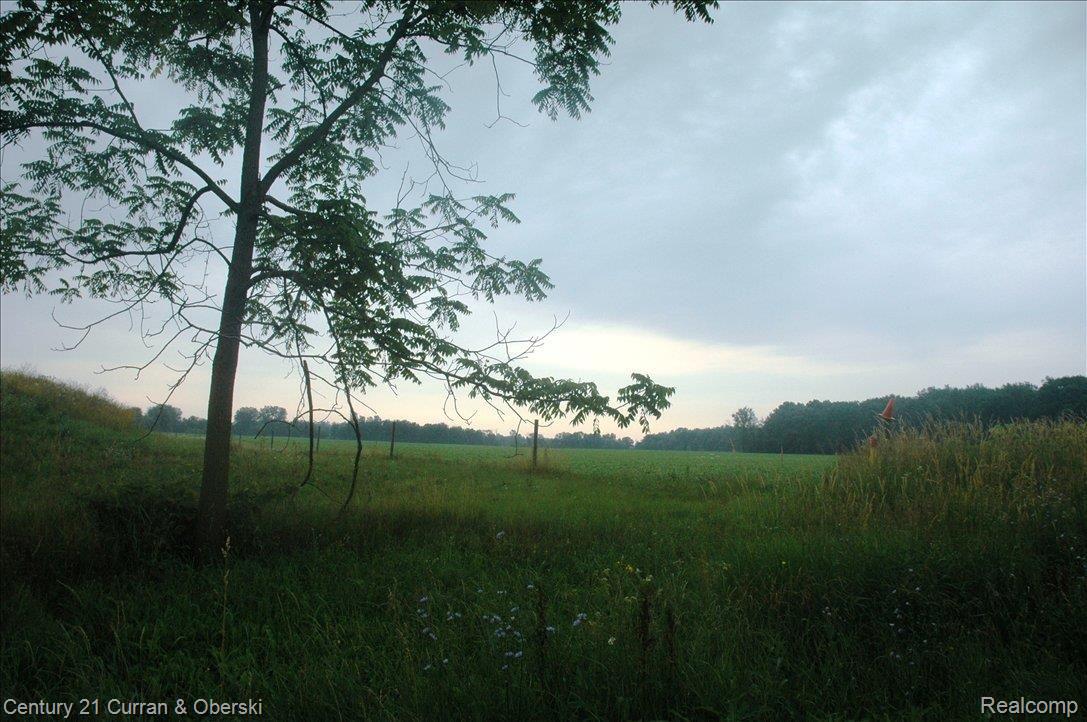 Fuller Looking East