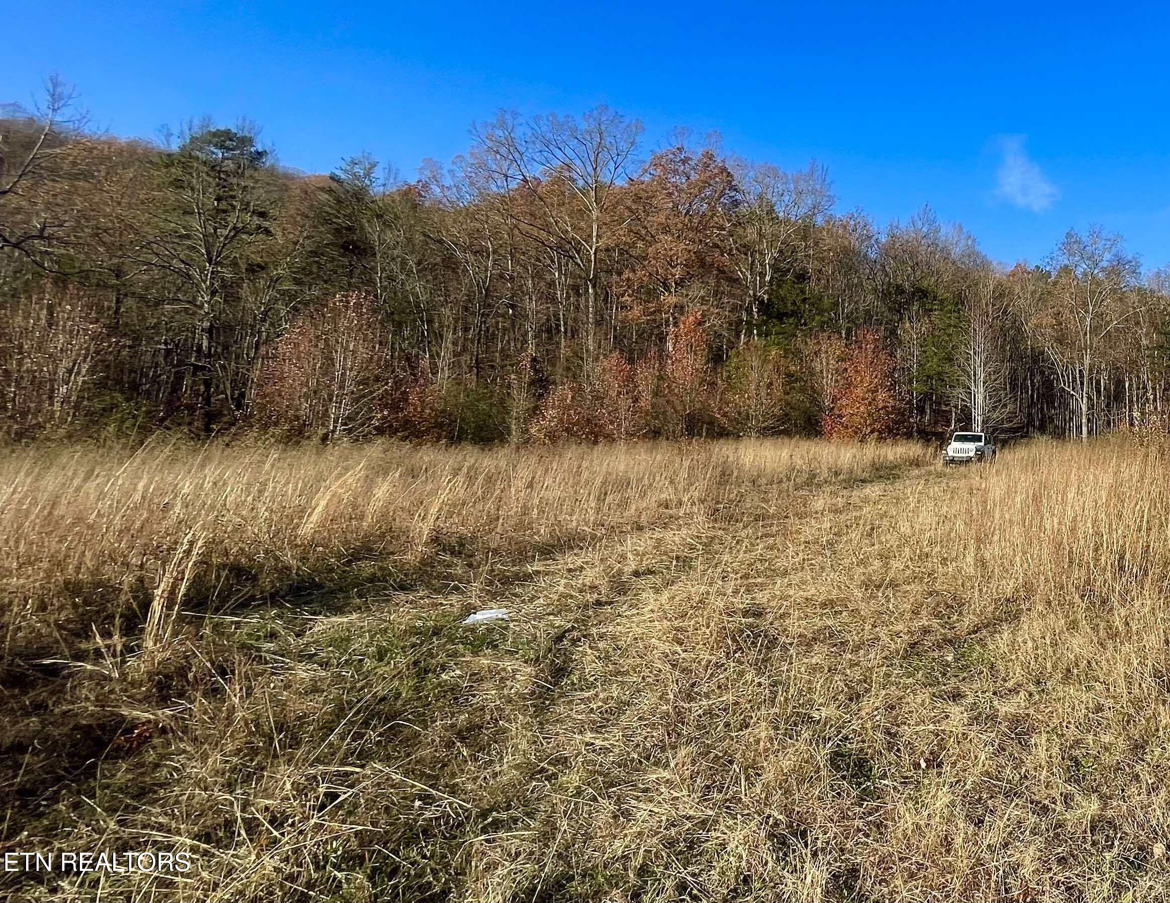 15 Rd Rutledge Tn 37861 Rutledge, TN 37861 - Photo 1 of 14 462570093_1633523533902252_8931447275190