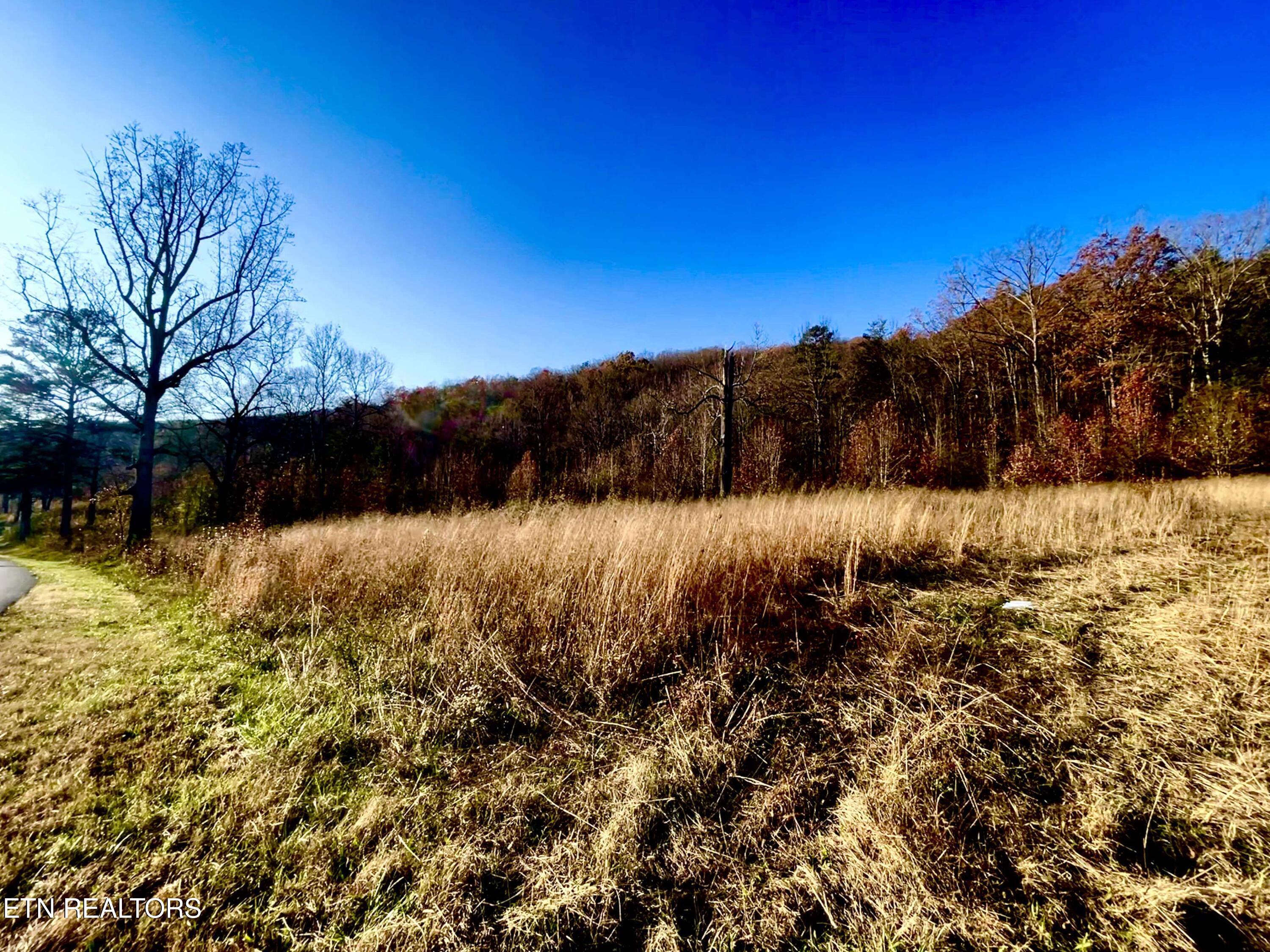 15 Rd Rutledge Tn 37861 Rutledge, TN 37861 - Photo 2 of 14 465909930_500159323180579_36865768126750