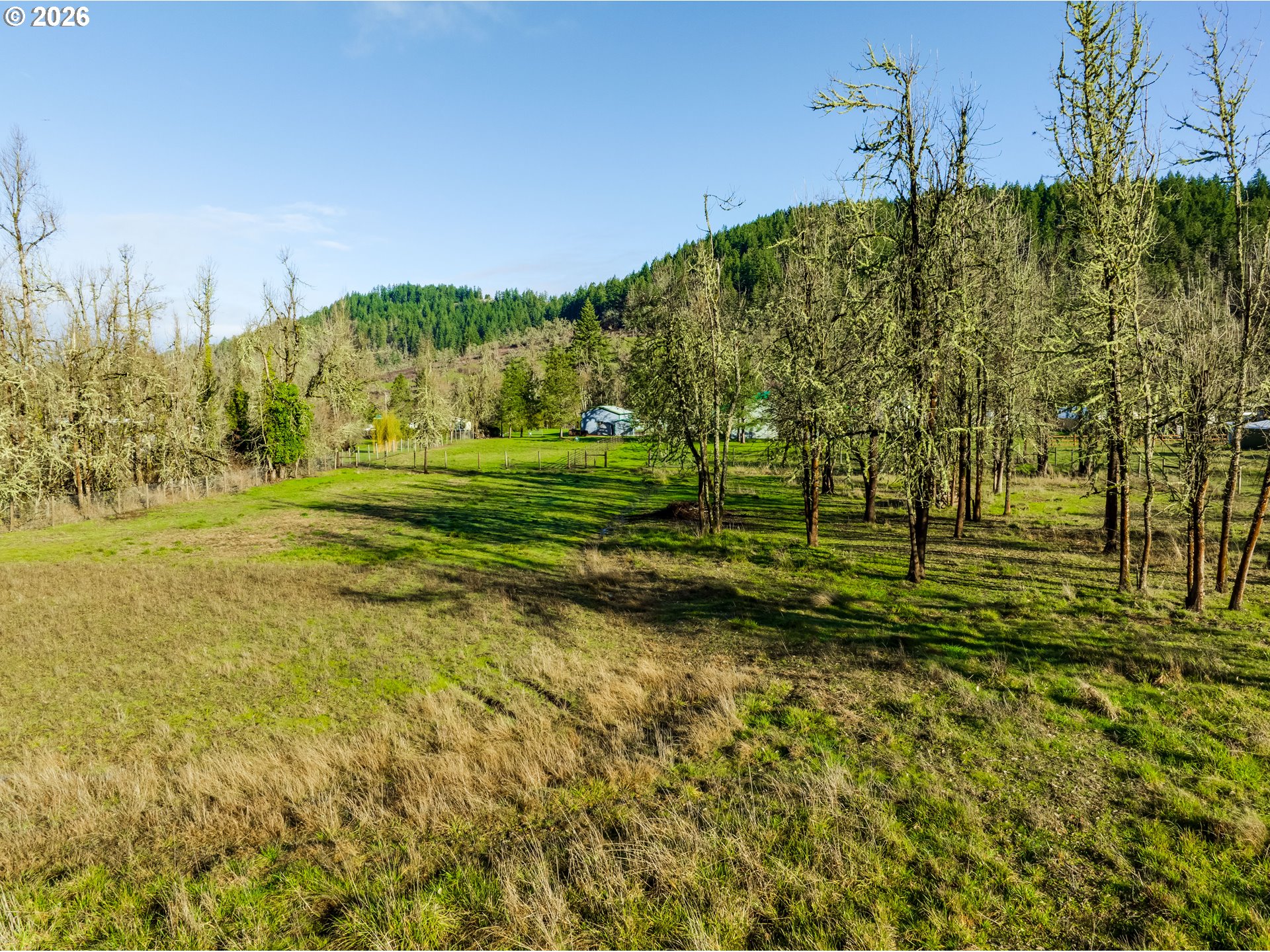37410 Hills Creek Road Springfield, OR 97478 - Photo 42 of 48
