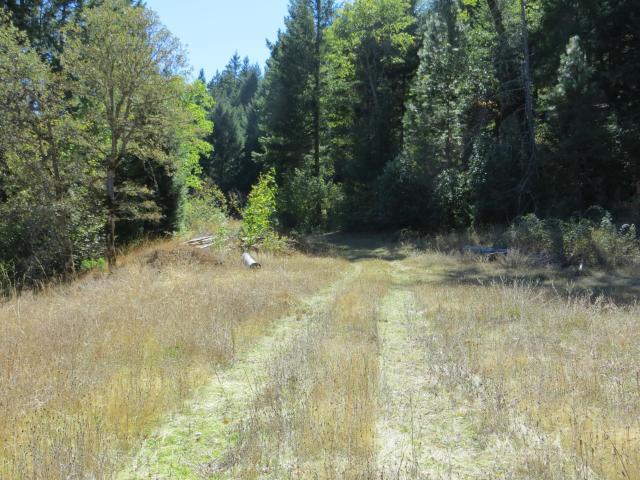 2500 Van Duzen Road Bridgeville, CA 95526 - Photo 20 of 48