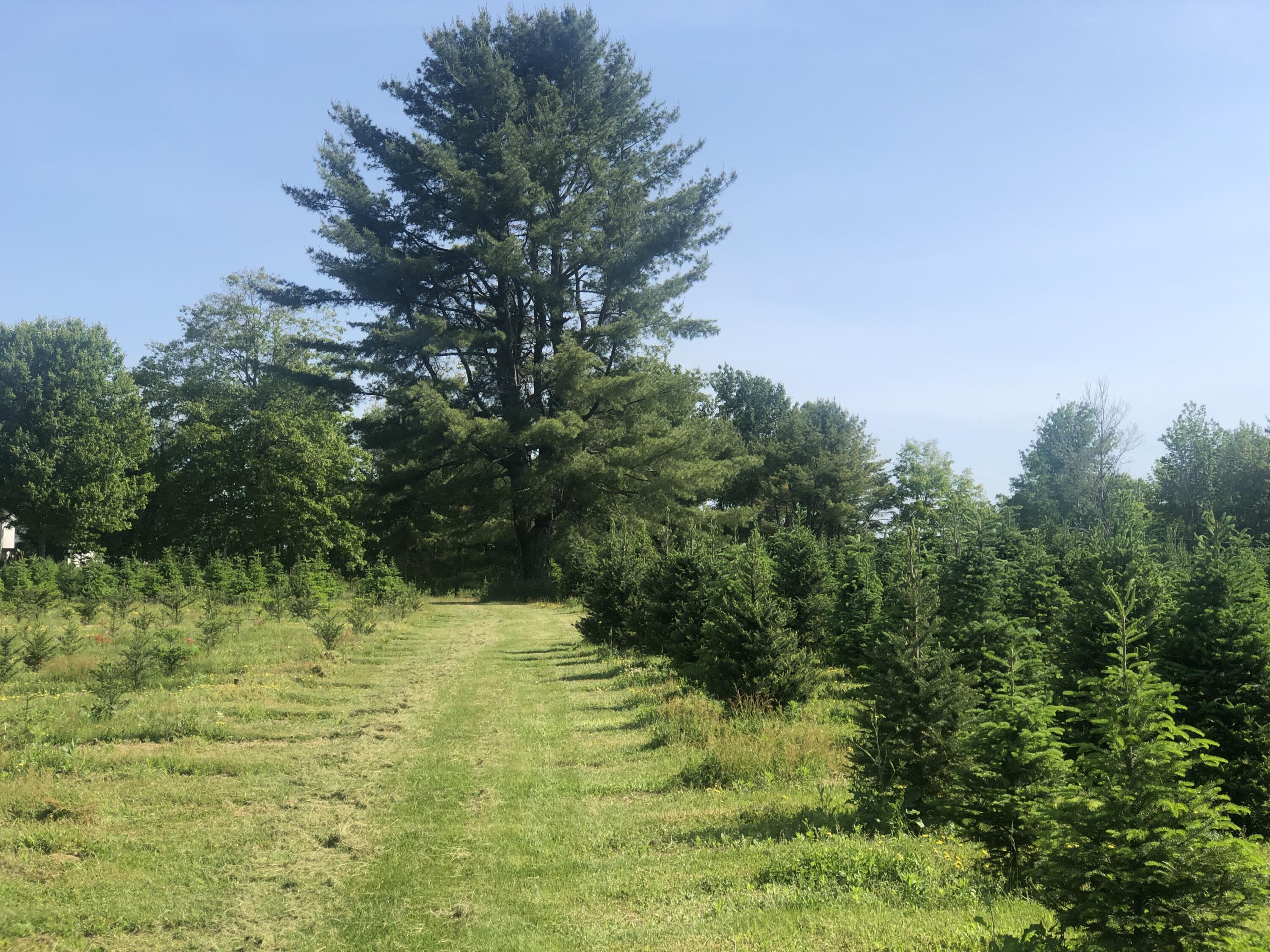 21 Lane Road South China, ME 04358 - Photo 18 of 24 IMG_6524
