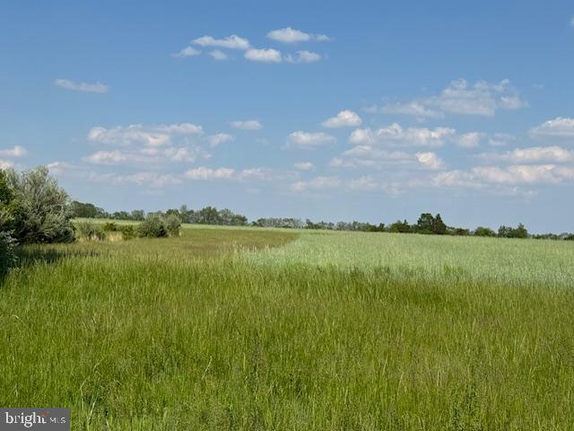 1292 Bear Tavern Road Pennington, NJ 08534 - Photo 2 of 3