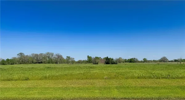 a view of a grassy field with trees