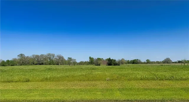 a view of a grassy field with trees