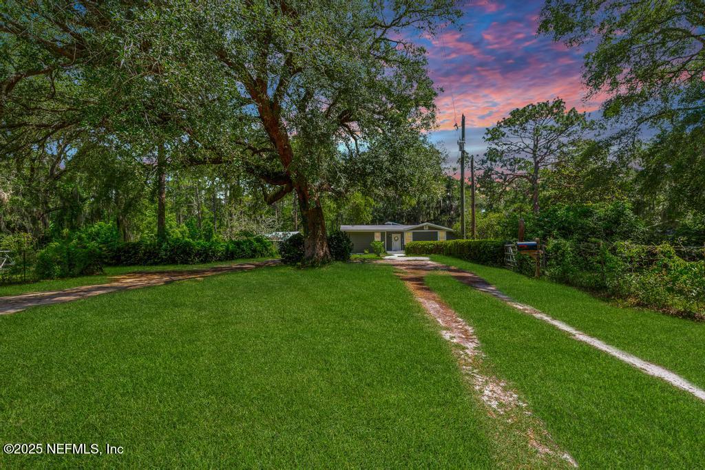 86290 Weldon Road Yulee, FL 32097 - Photo 43 of 50 a view of yard with grass and trees