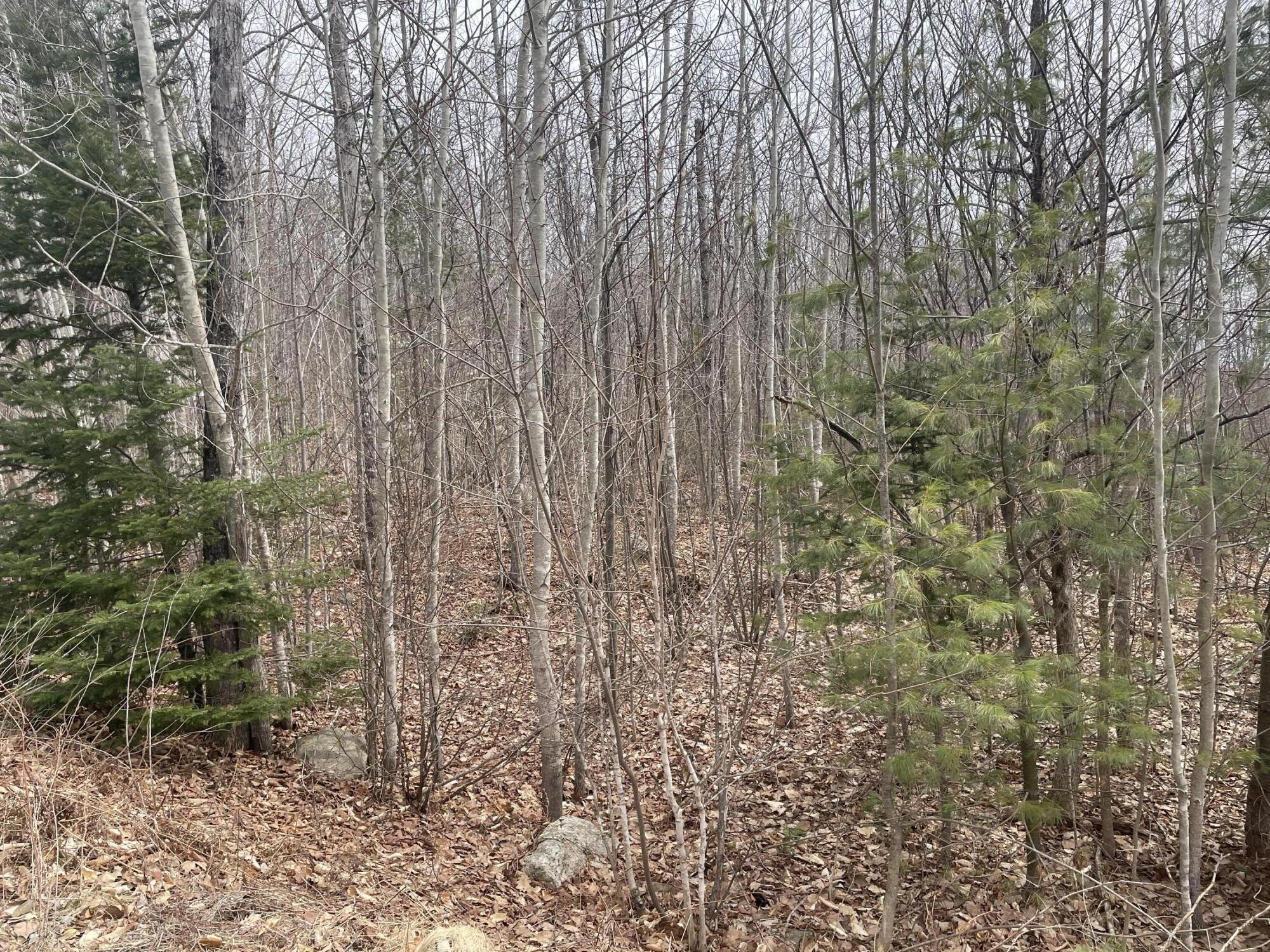2 Mooseley Ridge Road Phillips, ME 04966 - Photo 3 of 12 IMG_1044