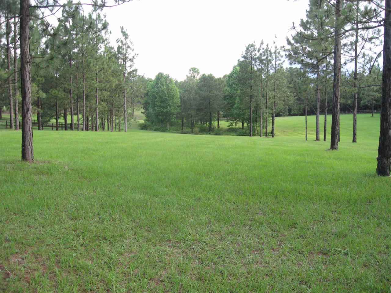 Lot #3 Youngs Road Vass, NC 28394 - Photo 11 of 14 Additional Photo