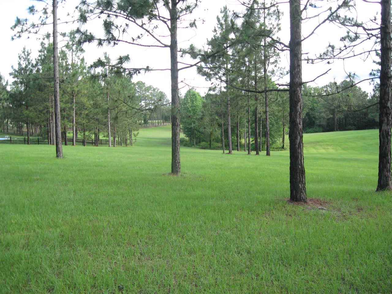 Lot #3 Youngs Road Vass, NC 28394 - Photo 3 of 14 Additional Photo